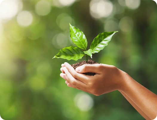 강소 Dingshun 의료 제품 유한 공사